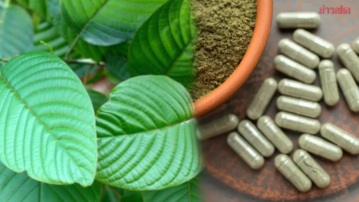 ไม่ปลอดภัยอย่างที่คิด สหรัฐฯ วิกฤตกระท่อม ผู้ป่วยพุ่งกว่า 1,150% เสียชีวิต 233 ราย