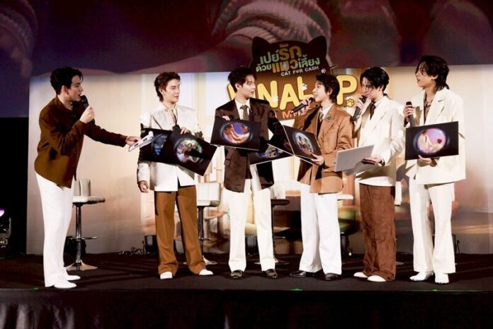 สดบันเทิง - เฟิร์ส-ข้าวตัง เติมรัก งานแฟนมีต “เปย์รักด้วยแมวเลี้ยง” 