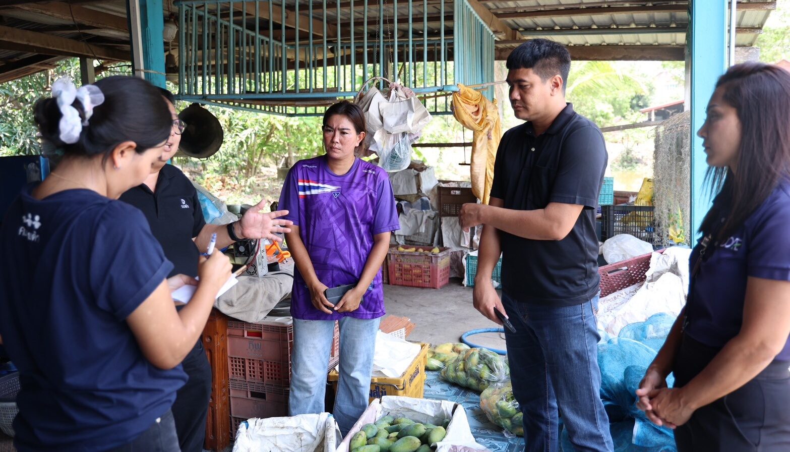 ดอยคำ เร่งรับซื้อ “มะม่วงกวน” แก้ปัญหามะม่วงราคาตก  เพิ่มรายได้เกษตรกรอ่างทอง