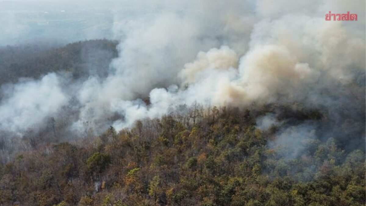 10 จว.เหนือ วิกฤต สำลักฝุ่นพิษ PM2.5 อ่วมสุดน่าน คาดการณ์ 7 วันข้างหน้า แนวโน้มเพิ่มขึ้น