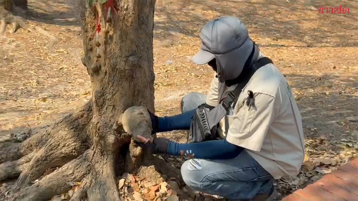 ลอบตัดเศียรพระพุทธรูป อายุกว่า 100 ปี แต่กลับทิ้งไว้ใต้ต้นไม้ คาดเจออาถรรพ์ไม่กล้าเอากลับไป