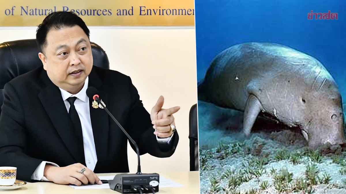 สุชาติ เอาจริง! สั่งเร่งหาผู้กระทำผิด ตัดหัวพะยูน ต้องกำจัดค่านิยมผิดๆ สะสมซากสัตว์