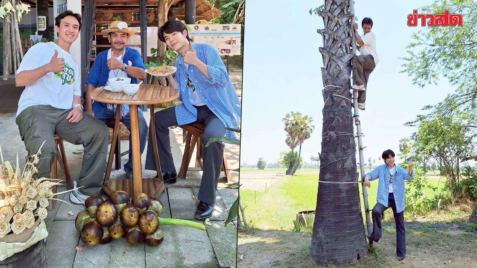 โต๋นแตร-จุกบี้ ลุยเพชรบุรี ปีนต้นตาล เปิดอาชีพคนปาดตาลใกล้สูญหาย