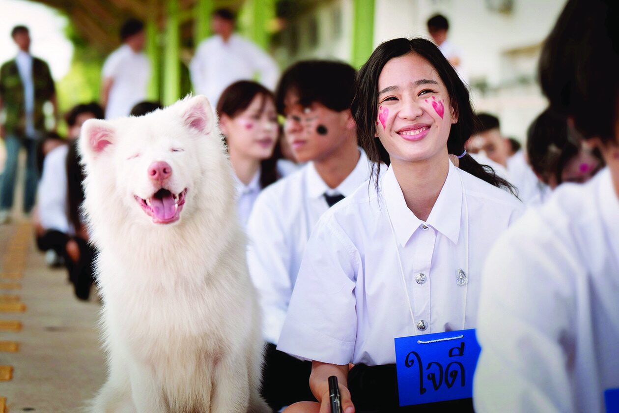 เสาร์สด - ‘โกฮัง..หัวใจโกโฮม’ฮีลใจ - ภาพยนตร์สุดอบอุ่นจาก‘GDH’