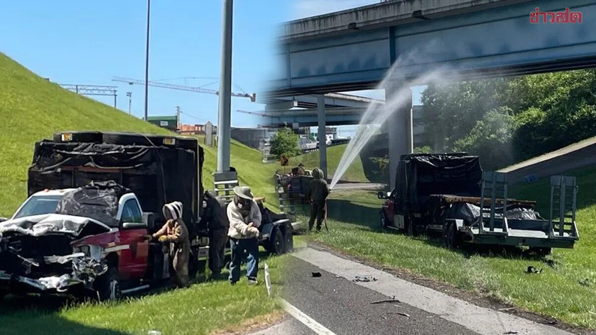 แตกตื่น ปิดทางด่วนสหรัฐฯ หลังรถบรรทุกผึ้ง พลิกคว่ำ ผึ้งนับล้านตัวแตกรัง บินว่อนทั่ว