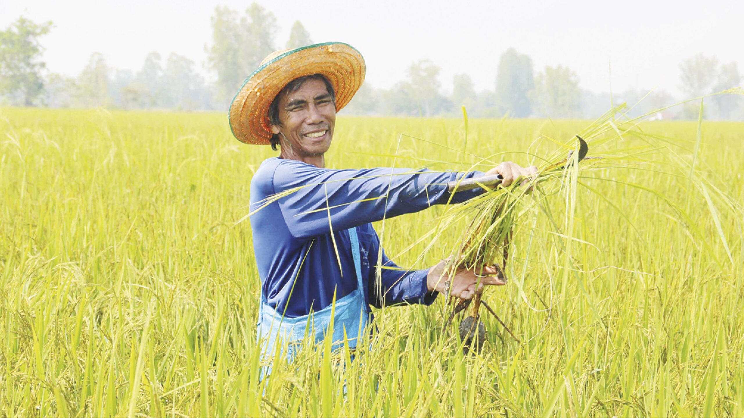 หลาก&หลายเกษตร – ชูชาวนาตัวอย่าง คัดทิ้ง‘ข้าวดีด’ ผ่าทางตันข้าวเปลือกราคาตกต่ำ