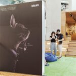 ปักหมุดศิลปวัฒนธรรม - 1 วัน 1,000 ภาพ สัตว์เลี้ยงแสนรัก