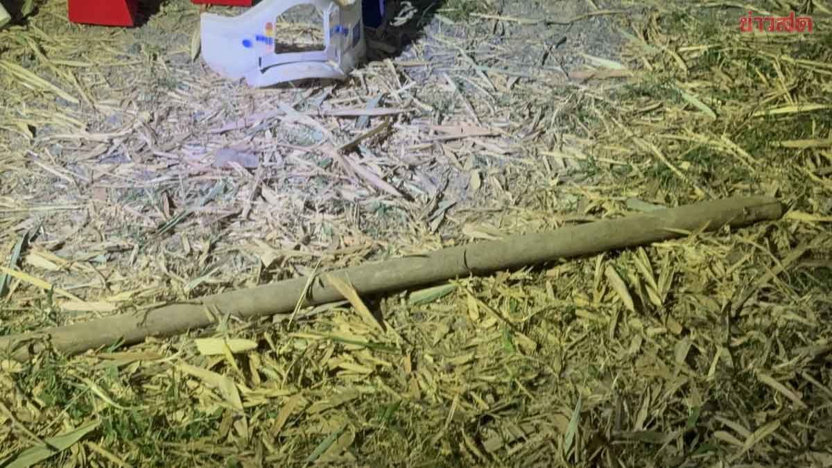 น้าใช้ด้ามจอบตีหัวหลานชาย เสียชีวิตคาบ้าน หลังทะเลาะเรื่องหมาแมวหลายครั้ง