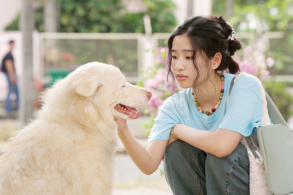 เบื้องหลังมายา