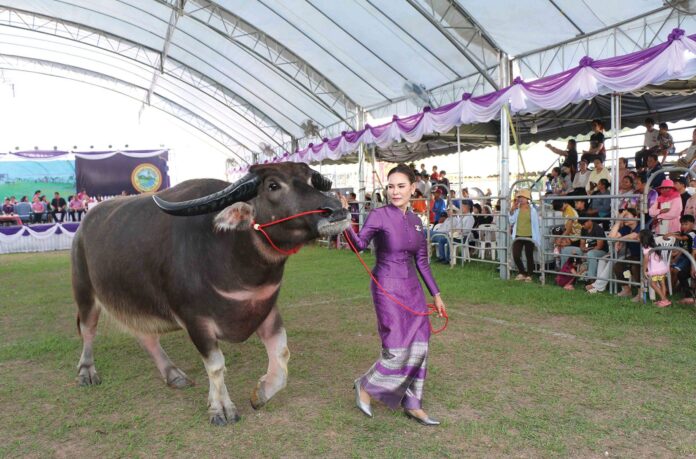 เพื่อนตัวเล็ก