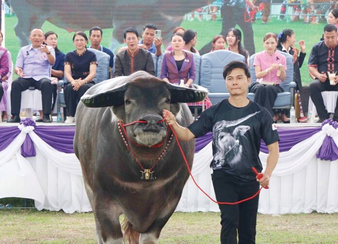 เพื่อนตัวเล็ก