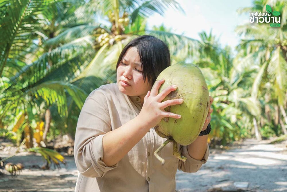 หลาก&หลายเกษตร - ฝ่าวิกฤตราคา ‘มะพร้าวแกง’ ทายาท Bebo Coco ต่อยอดสู่ทางรอด