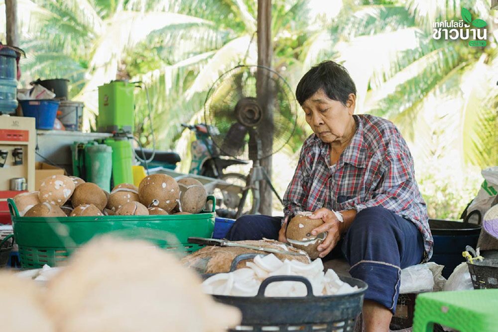หลาก&หลายเกษตร - ฝ่าวิกฤตราคา ‘มะพร้าวแกง’ ทายาท Bebo Coco ต่อยอดสู่ทางรอด