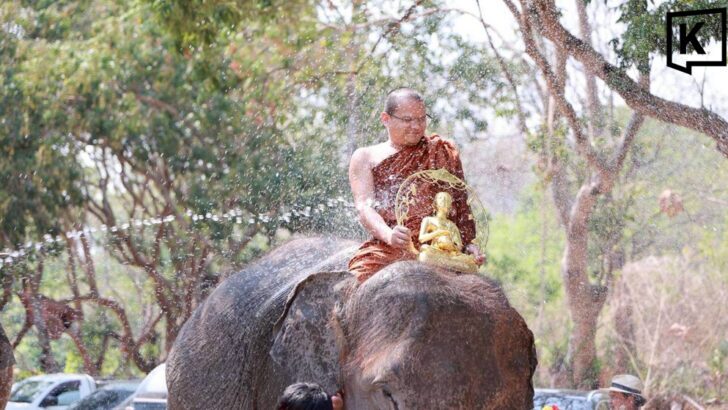 Elephants lead Songkran water pouring and blessing parade