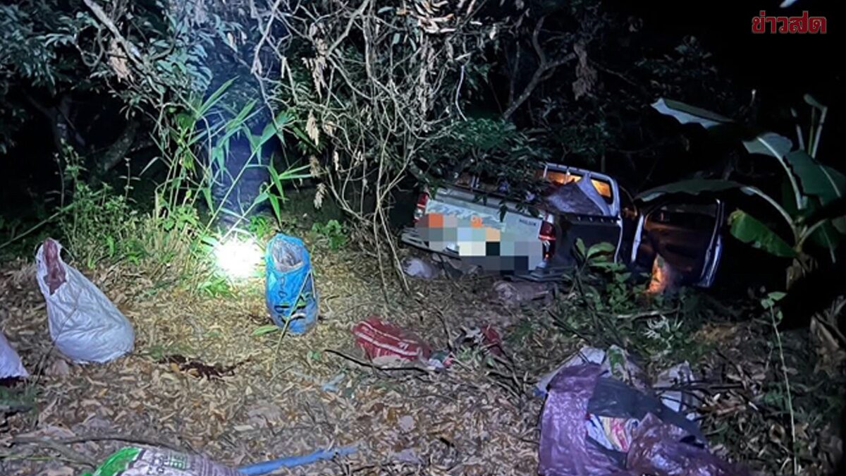 ถนนมืด กระบะเสียหลักพุ่ง ตกเหวลึก 50 เมตร อัดต้นไม้เต็มแรงพังยับ