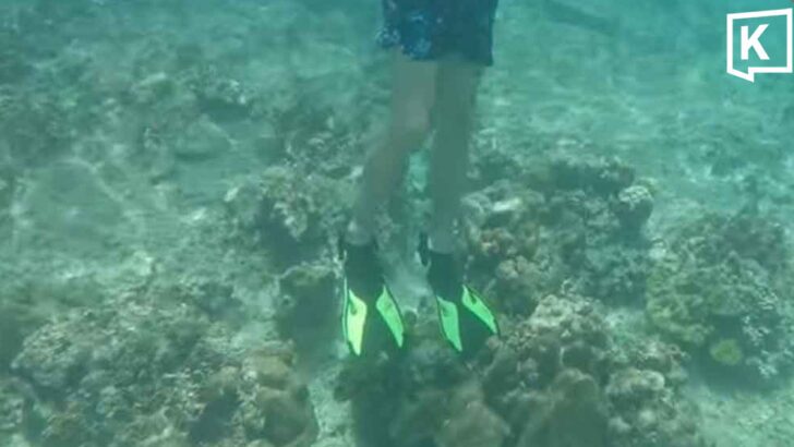 Guide sought after tourists seen stepping on Phi Phi coral