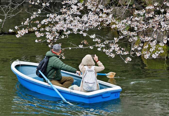 นักท่องเที่ยวล่องเรือชมดอกซากุระบานสะพรั่งที่สวนชิโดริกาฟุจิ ในกรุงโตเกียว ประเทศญี่ปุ่น เมื่อวันที่ 26 มีนาคม 2026