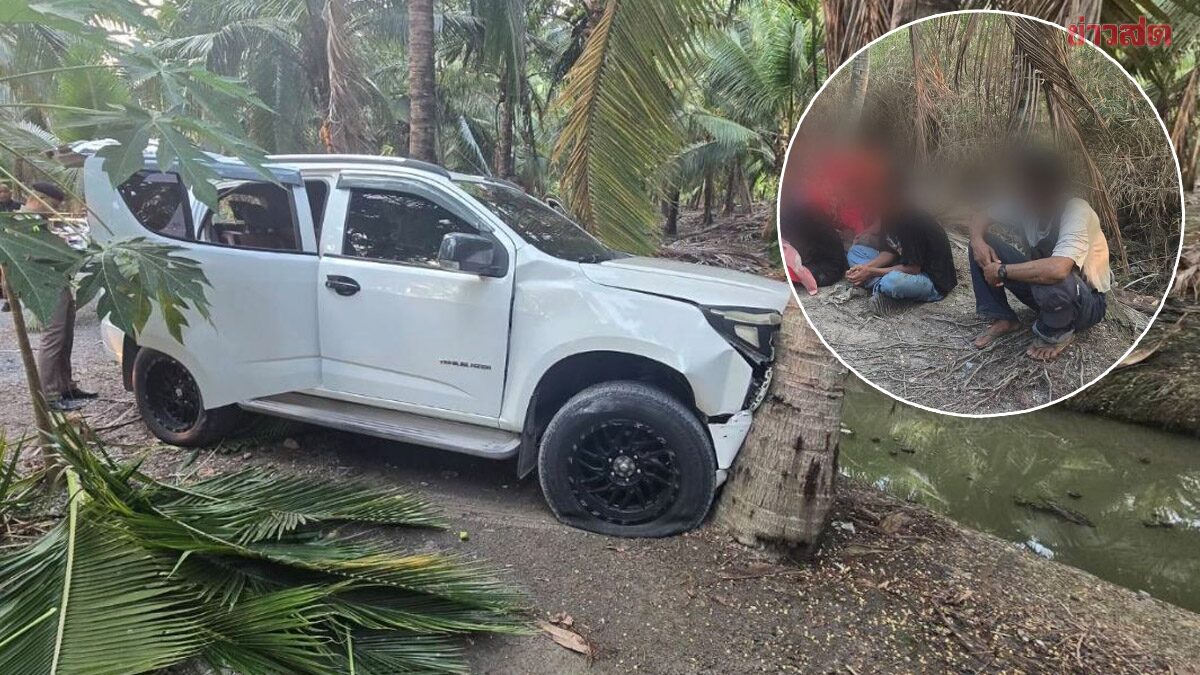 ซิ่งหนีระทึก! กระบะขนแรงงานเถื่อน ฝ่าไฟแดง 3 แยก ก่อนพุ่งชนต้นมะพร้าว