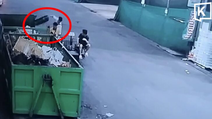 Police probe dog carcass dumped in suitcase