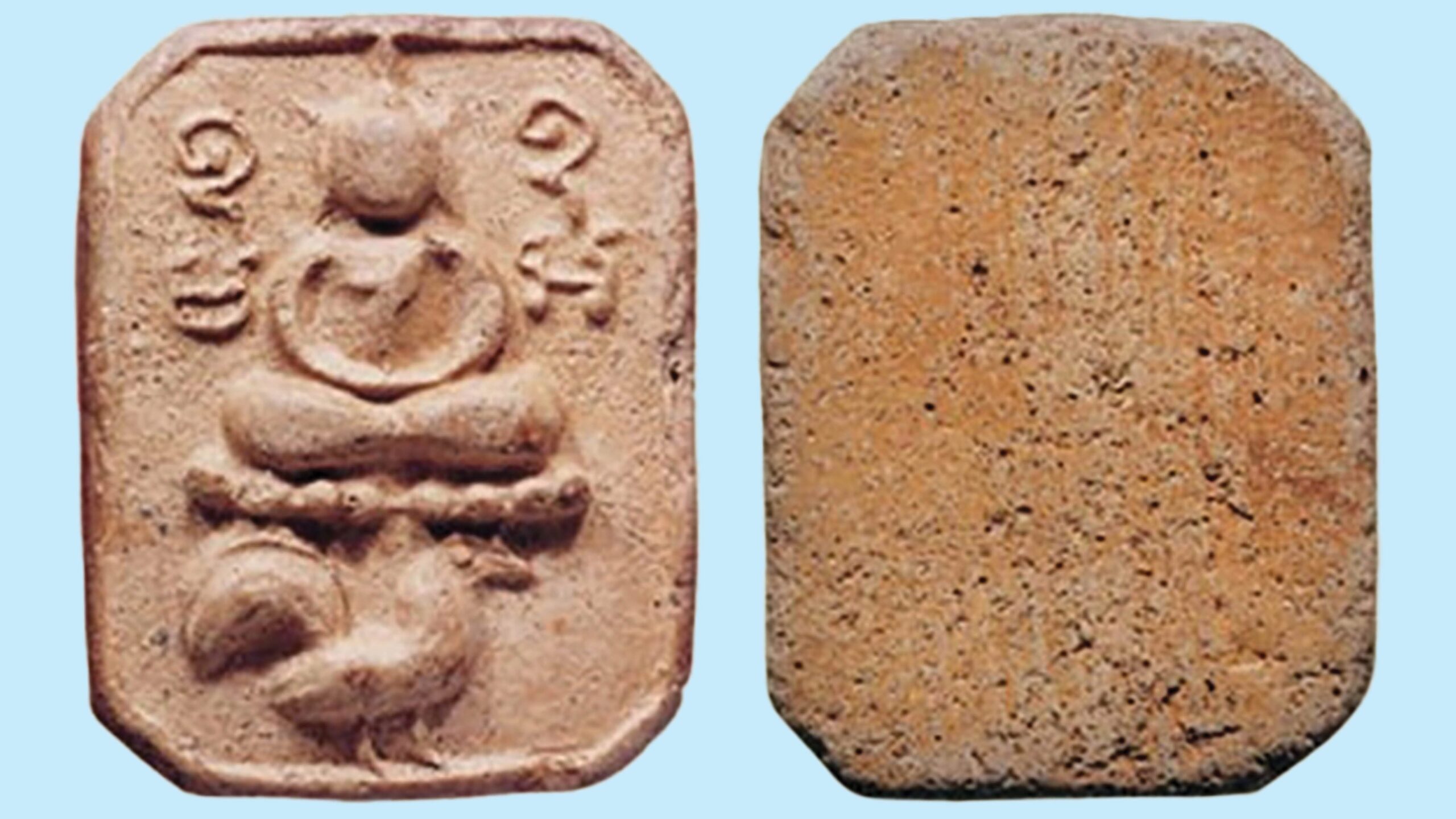 ข่าวสดพระเครื่อง – พระเครื่องพิมพ์ทรงสัตว์  หลวงพ่อปาน วัดบางนมโค