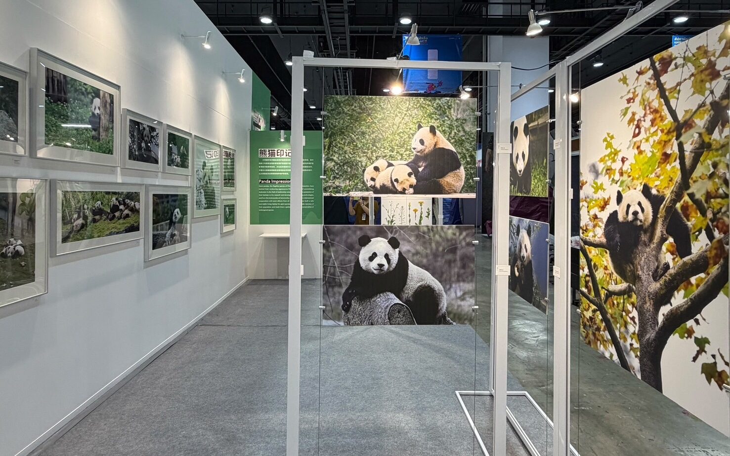 นิทรรศการภาพ ‘หลินปิง–หลินฮุ่ย’ สะกดใจนักอ่าน ดันสัปดาห์หนังสือฯ ครั้งที่ 54 คึกคักทุกฮอลล์