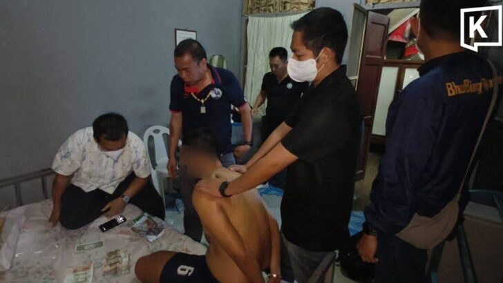 Serial burglar held over raids on foreign homes