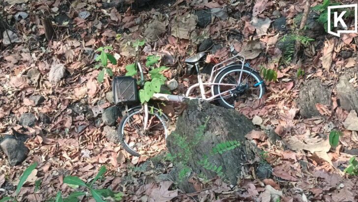 Skeleton found in forest Identified as missing man