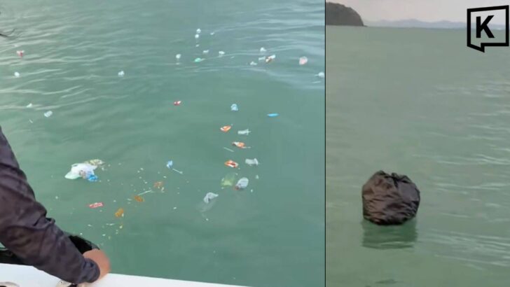 Tour boat crew filmed dumping rubbish off Phuket coast