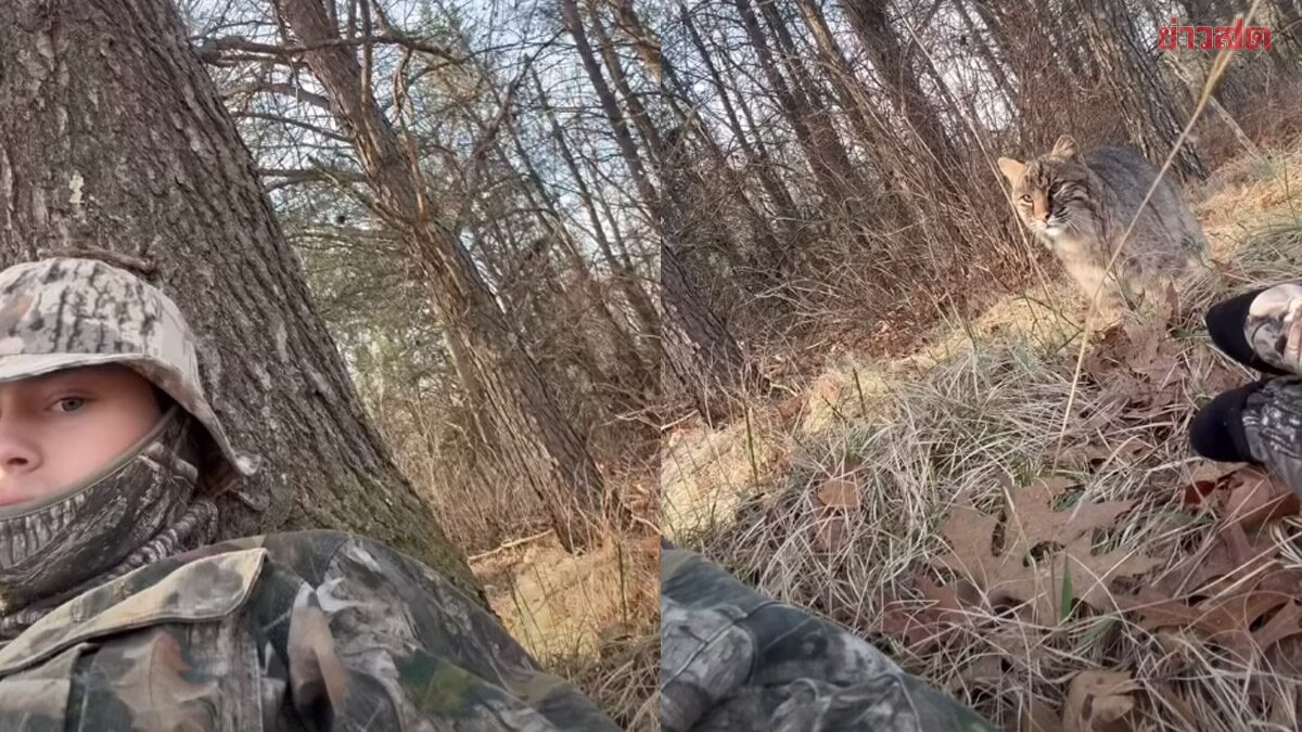 สุดระทึก! หนุ่มมะกันวัย 19 ซุ่มล่าไก่งวงอยู่ดีๆ เจอบ็อบแคตพุ่งตะปบกลางป่า (คลิป)