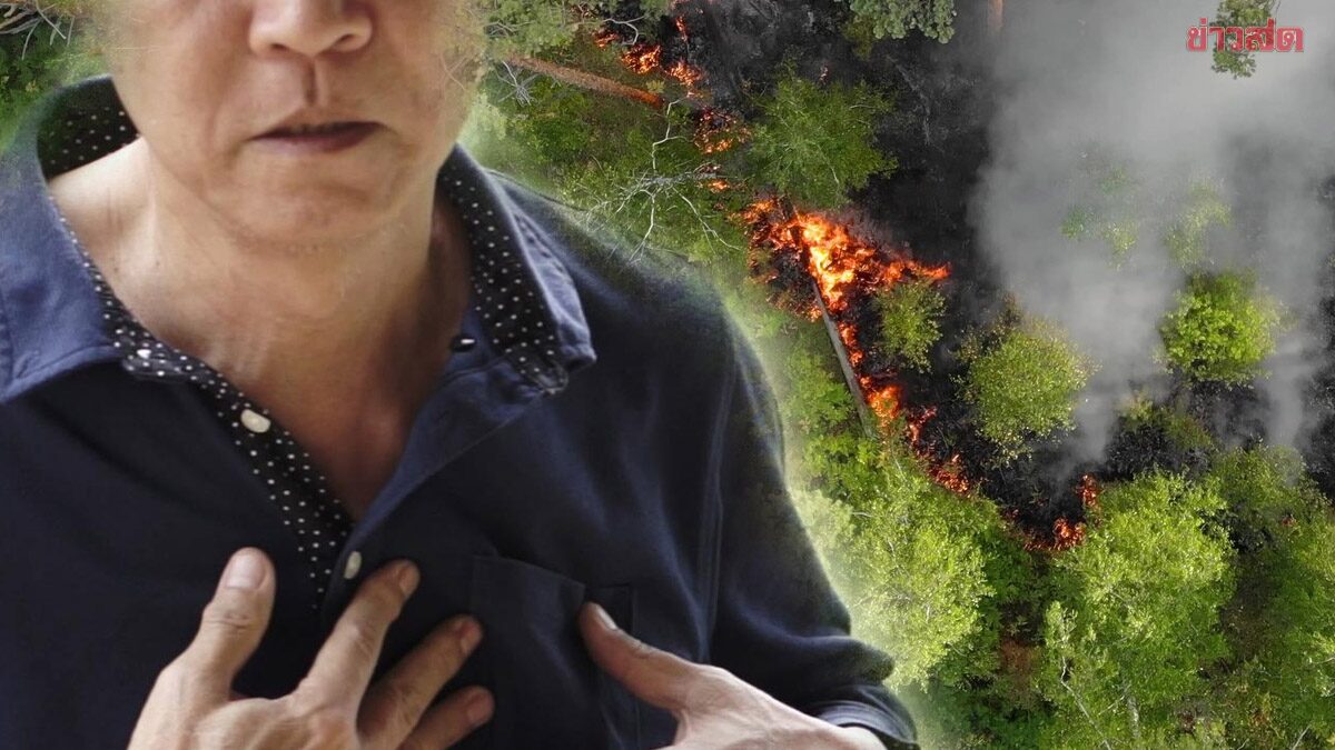 ช็อก! ผู้ป่วยวัย 87 สูดควันไฟป่าหนัก หายใจลำบาก พบก้อนเมือกคล้ายกิ่งไม้ในปอด