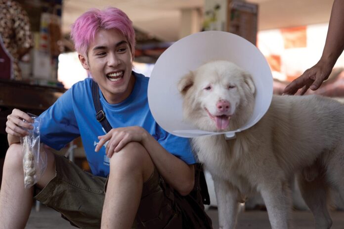 เบื้องหลังมายา
