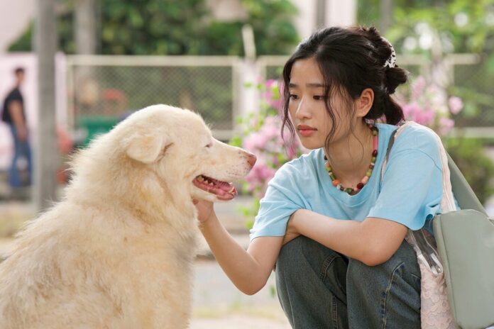 เบื้องหลังมายา