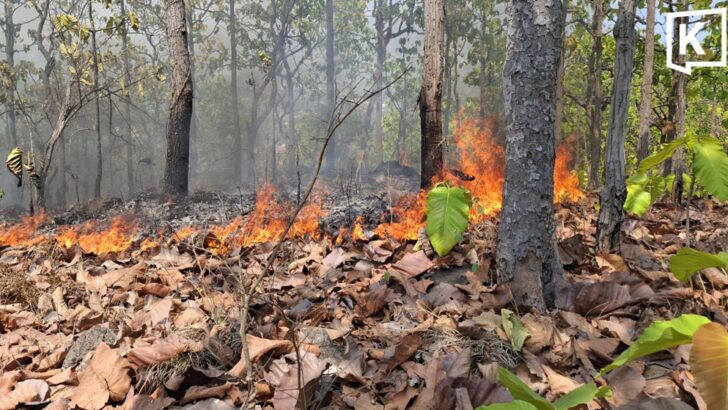 Wildfire near Mae Hong Son park quickly contained