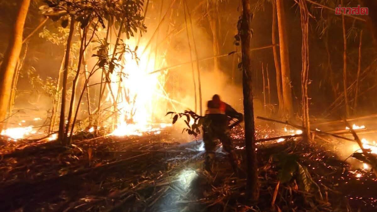 จิสด้า เปิดข้อมูลดาวเทียม เผาป่าหนักต่อเนื่อง จุดความร้อน พุ่ง 5 พันจุด เมียนมา ทะลุ 7,605 จุด