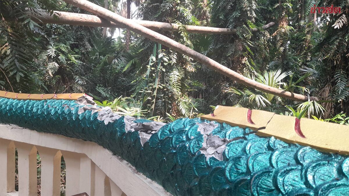 เชื่อ บารมีพ่อปู่แม่ย่า ต้นชะโนดล้มทับพญานาคพังหักเสียหาย โชคดีเวลาพักไม่มีใครเจ็บ