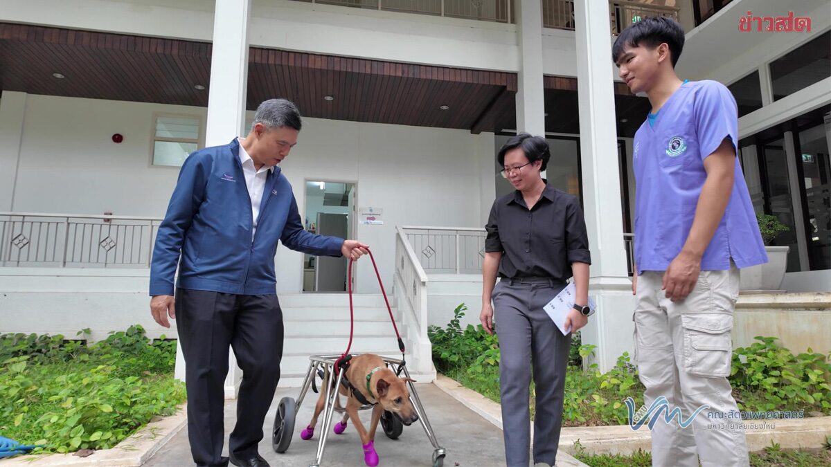 มช. ขับเคลื่อน “หมา | คู | เมือง” โมเดลจัดการสุนัขชุมชน อย่างเป็นระบบและยั่งยืน