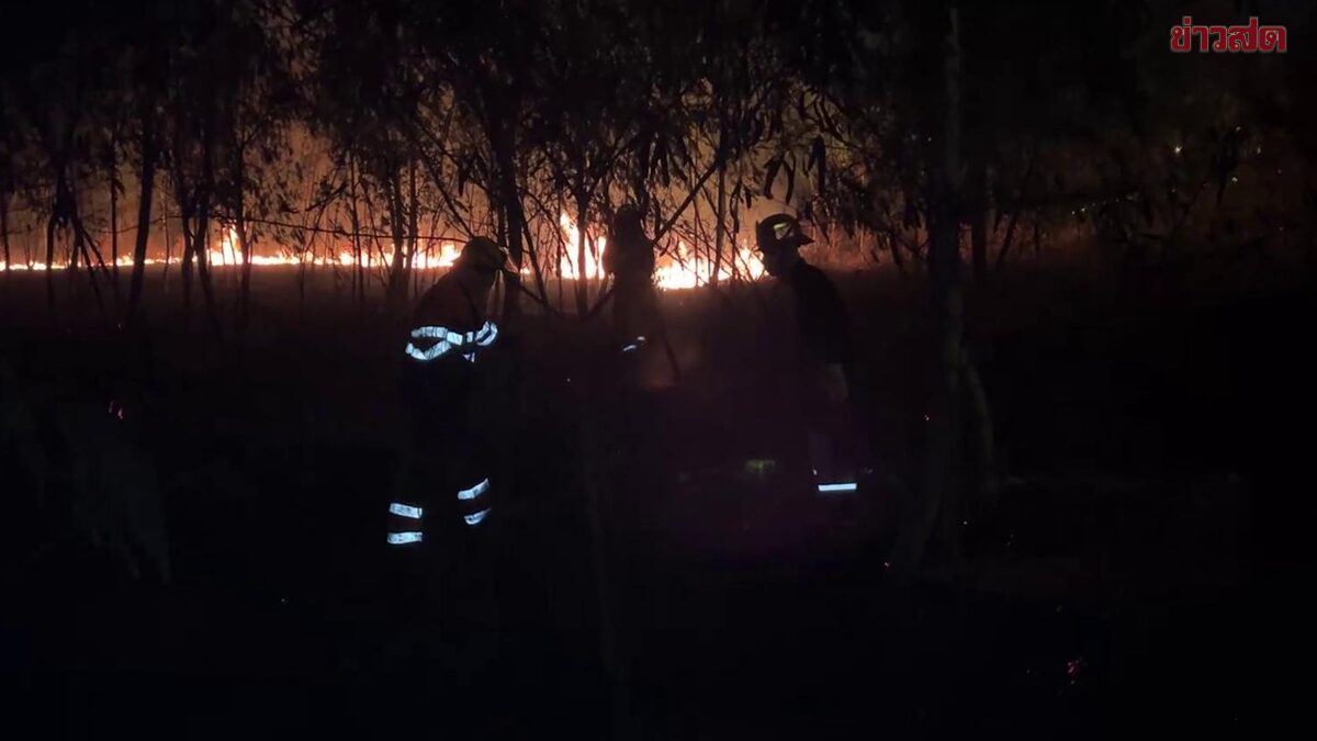 ชัยนาท ชาวบ้าน ‘เผาป่า’ วันเดียว 4 จุด เย้ยประกาศผู้ว่าฯ