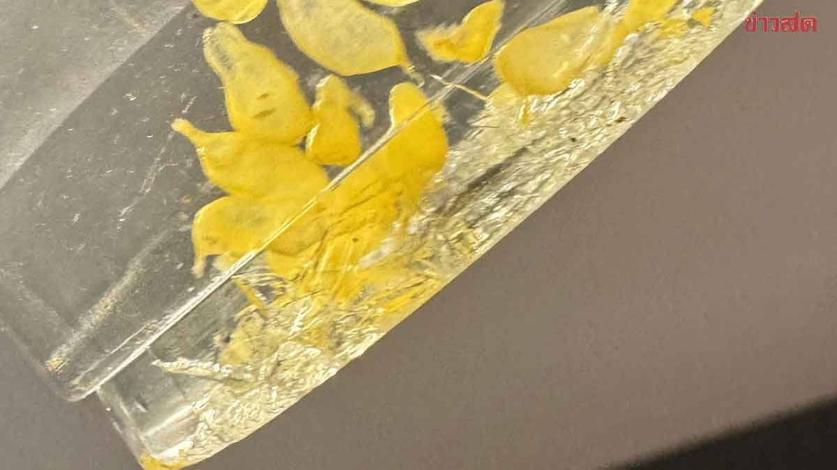 สาวผวารีบไปหาหมอ เจอเศษแก้วหลังสั่งกาแฟมาดื่ม เผยสุดเครียด หวั่นเศษแก้วทะลุลำไส้