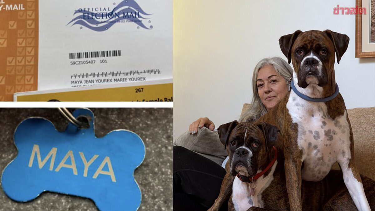 ได้หรอ! สาวทดสอบระบบเลือกตั้ง ลงทะเบียนชื่อหมาไป สรุปมีสิทธิออกเสียงเฉย