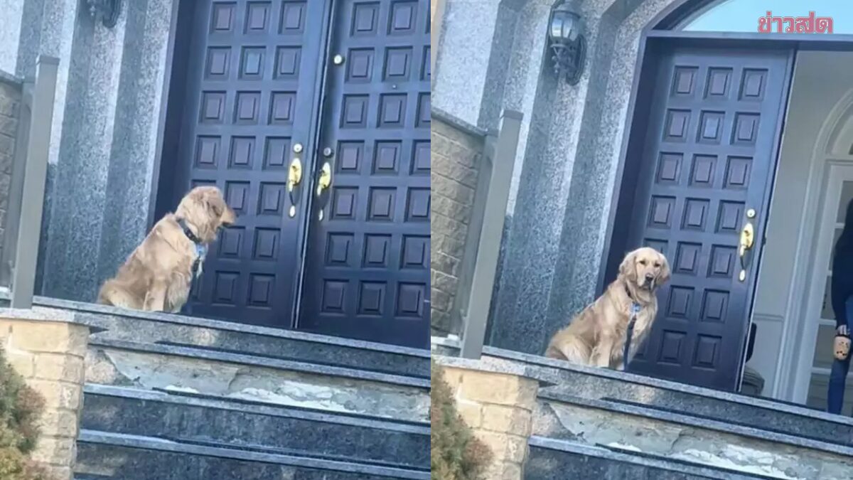 ตูบไม่ยอมกลับบ้าน ตื้อแค่ไหนก็ไม่ไป ก่อนรู้ความจริงสะเทือนใจ