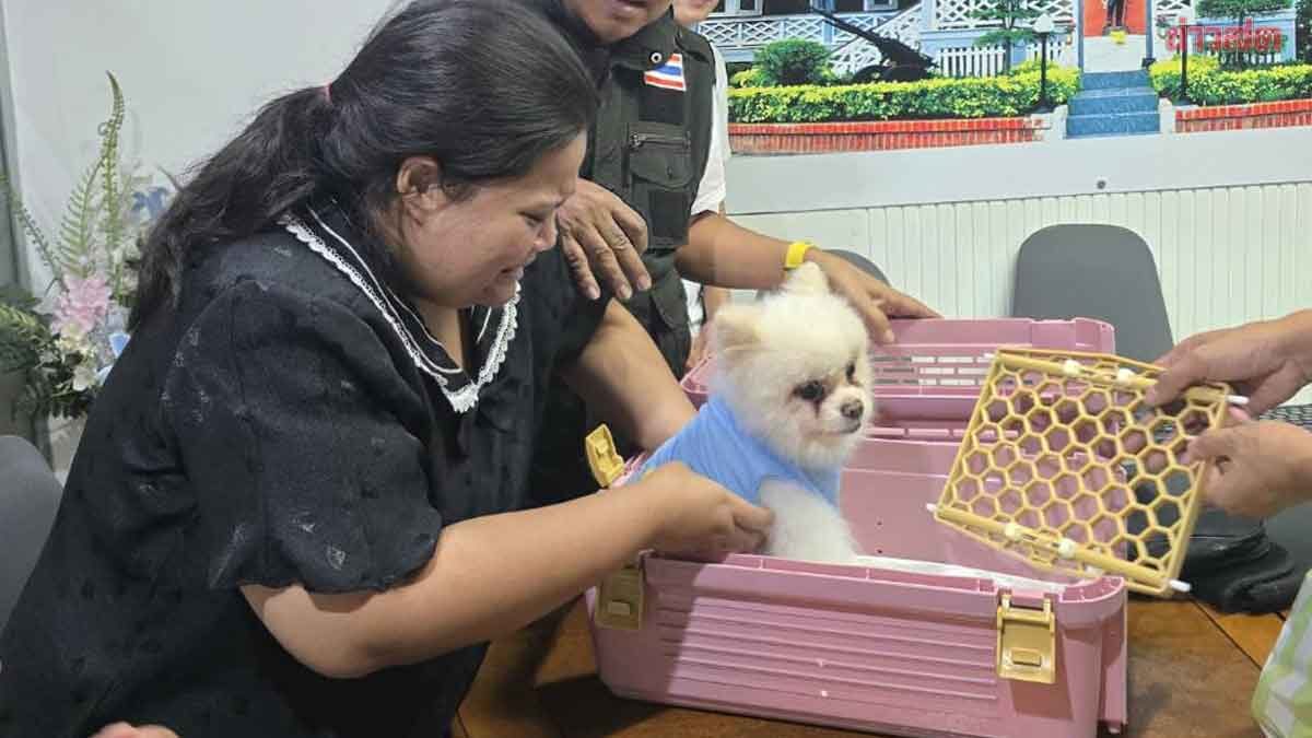 จบดราม่าน้องกะทิ เจ้าของสุดกลั้นน้ำตา รับคืนสู่อ้อมกอด หนุ่ม กรรชัย ควัก 1 แสนจ่ายให้ก่อน