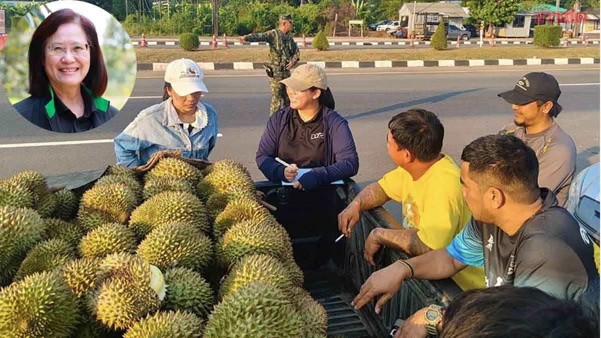 ผลผลิตทุเรียนตะวันออกปี 69 ทะลุ 1.06 ล้านตัน เพิ่ม 22% สั่งเข้ม “ตรวจก่อนตัด” เริ่ม 20 เม.ย.