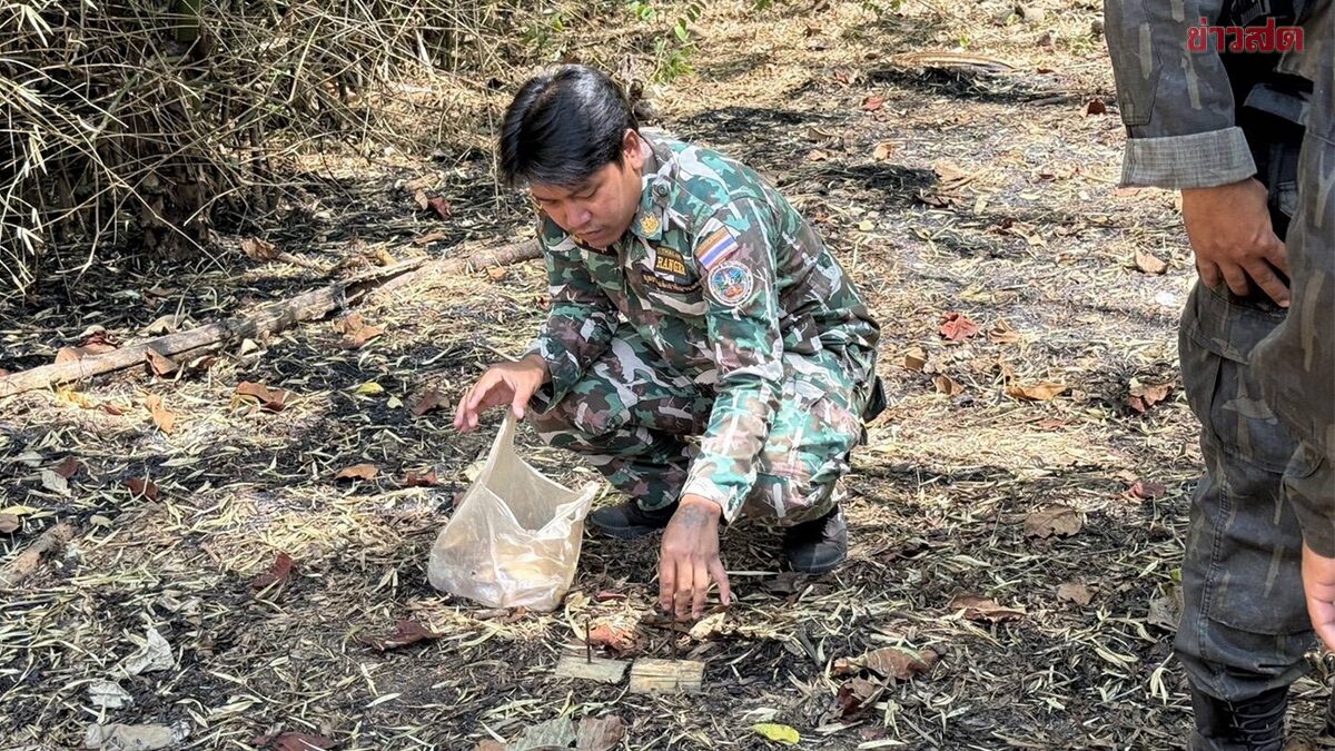 จิตใจทำด้วยอะไร ลอบวางกับดักตะปู หวังทำร้ายช้างป่าอุทยานฯเขาแหลม