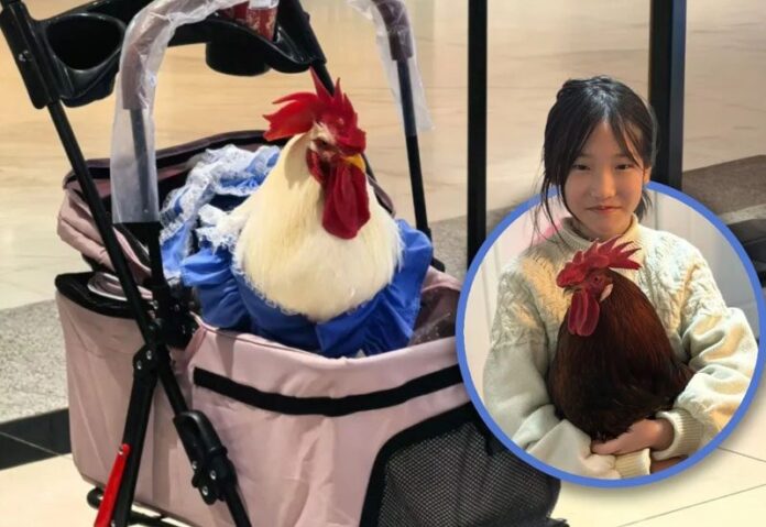 ภาพประกอบ