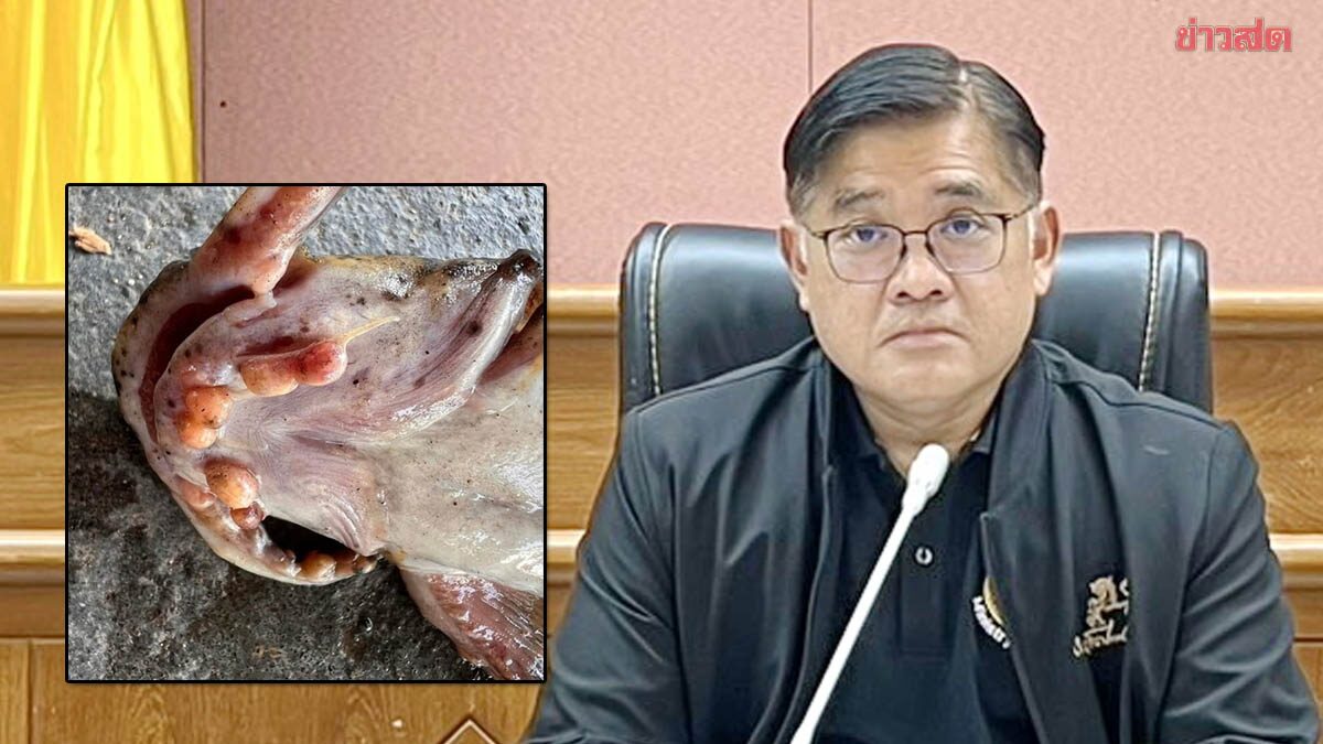 ผู้ว่าฯ เลย แจงปลาน้ำโขง ตุ่มขึ้นตามตัว เป็นพยาธิใบไม้ ยันกินได้ไม่อันตราย