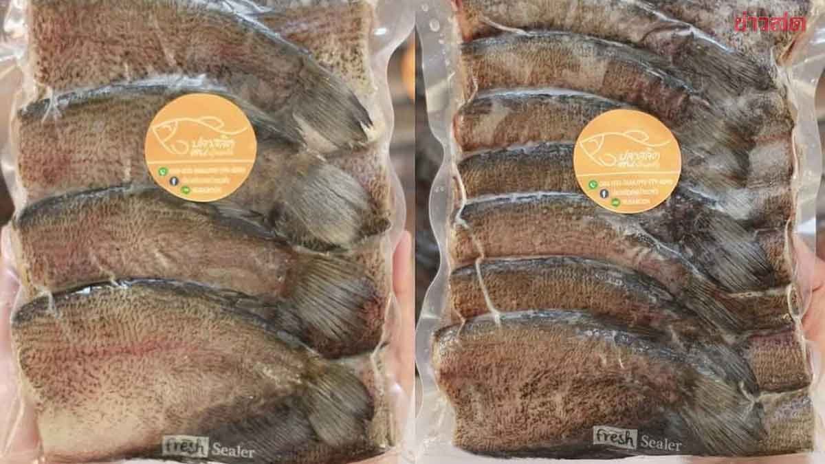 ขึ้นทะเบียน ปลาสลิดบ้านแพ้ว เป็นสินค้า GI น้องใหม่สมุทรสาคร