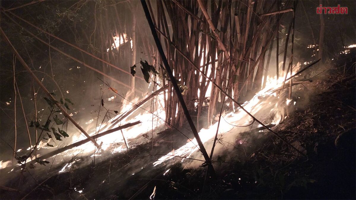 หนักแล้ว!! ไฟป่าลามเผาแก่งกระจาน กว่า 5,000 ไร่ อึ้งพบหลักฐานกระทิงถูกยิงตาย 2 ตัว