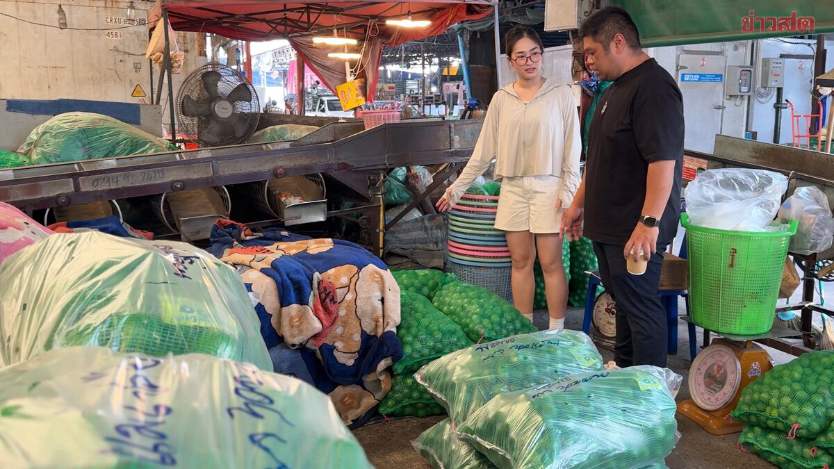 ราคาพุ่งแรง มะนาว ลูกละ 8 บาท แพงสุดในรอบ 4 ปี เผยสาเหตุ