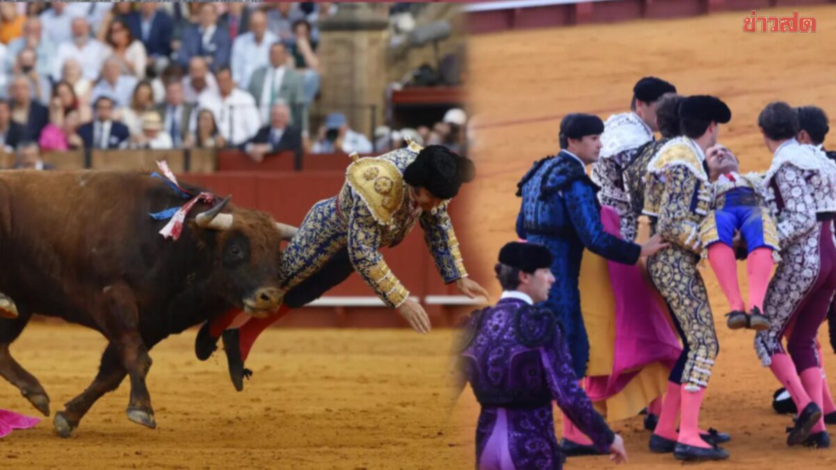 ตำนานมาทาดอร์สเปน พลาด โดนเขาวัวกระทิง แทงทะลุทวาร สาหัส ลั่นเจ็บปวดสุดในชีวิต