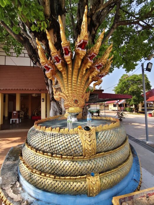 ชวนกันมา พากันมู
